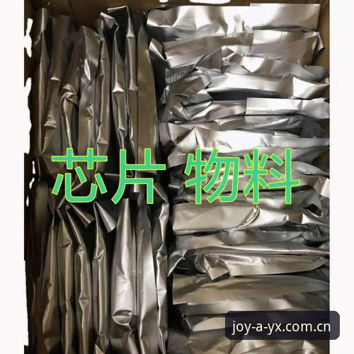 AYX官方网站地址攻略：5个步骤轻松找到最新入口与A8B2版本下载技巧
