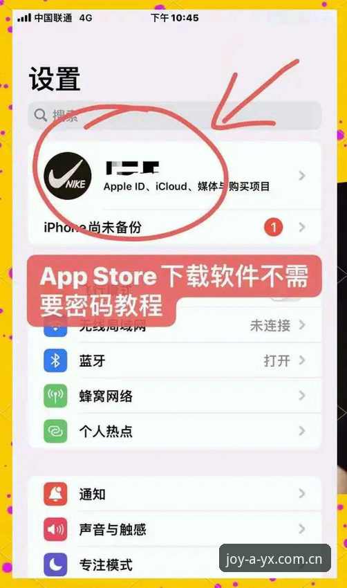 AYX苹果版下载全流程深度解析：从安装到登录的细节指南